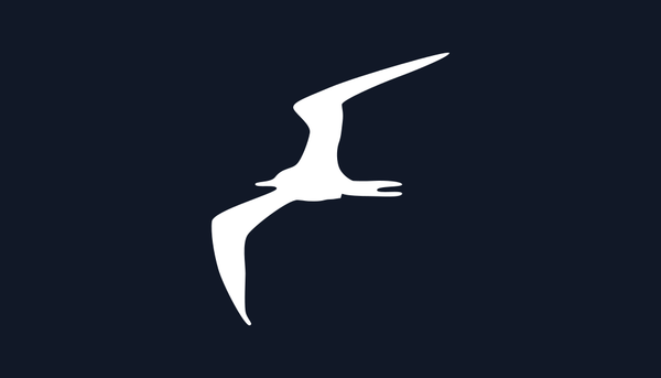 Instalación de Frigate en Portainer